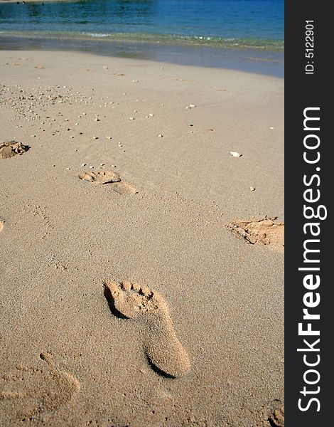 Some footprints show that a person walked along the beach. Some footprints show that a person walked along the beach.