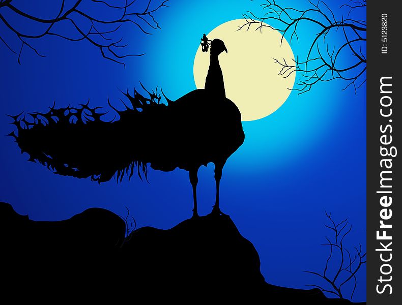 An art illustration about the beauty of peacock on a full moon night. An art illustration about the beauty of peacock on a full moon night
