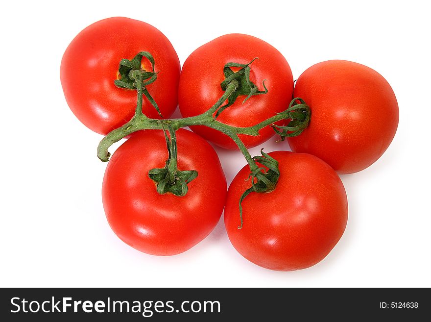 Ripe red tomatoes still with vine over white. Ripe red tomatoes still with vine over white.