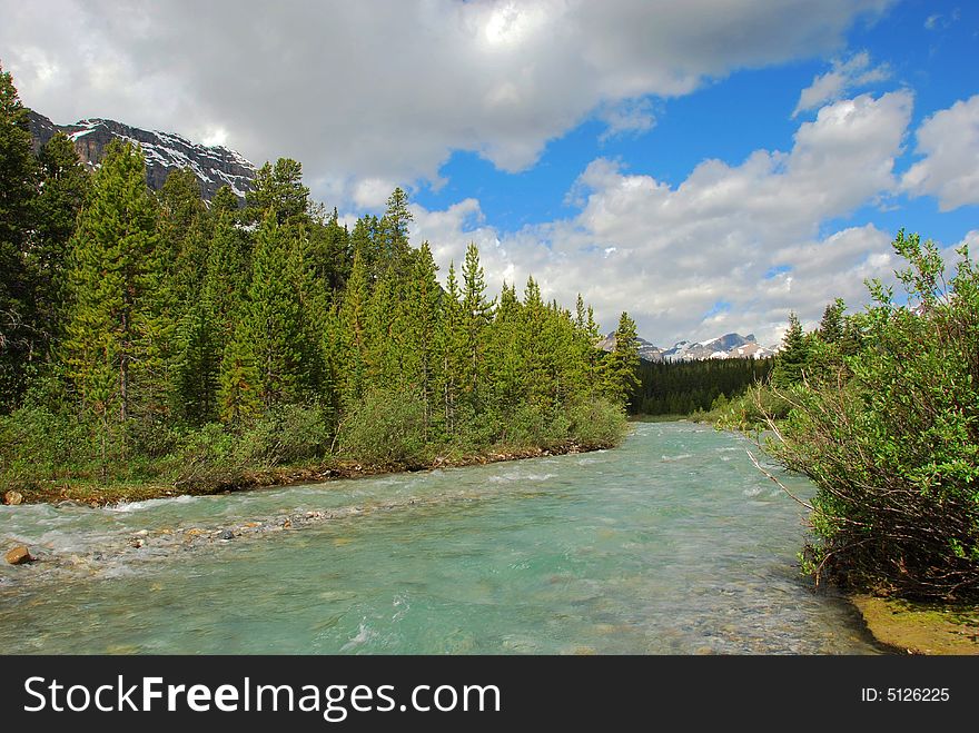 Mosquito Creek in Banff National Park Alberta Canada