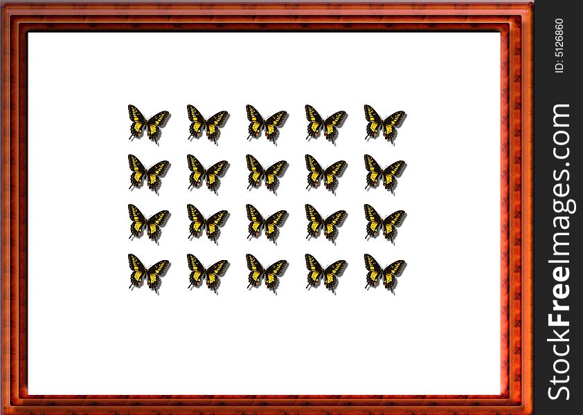 Butterfly case or insect case for your collection