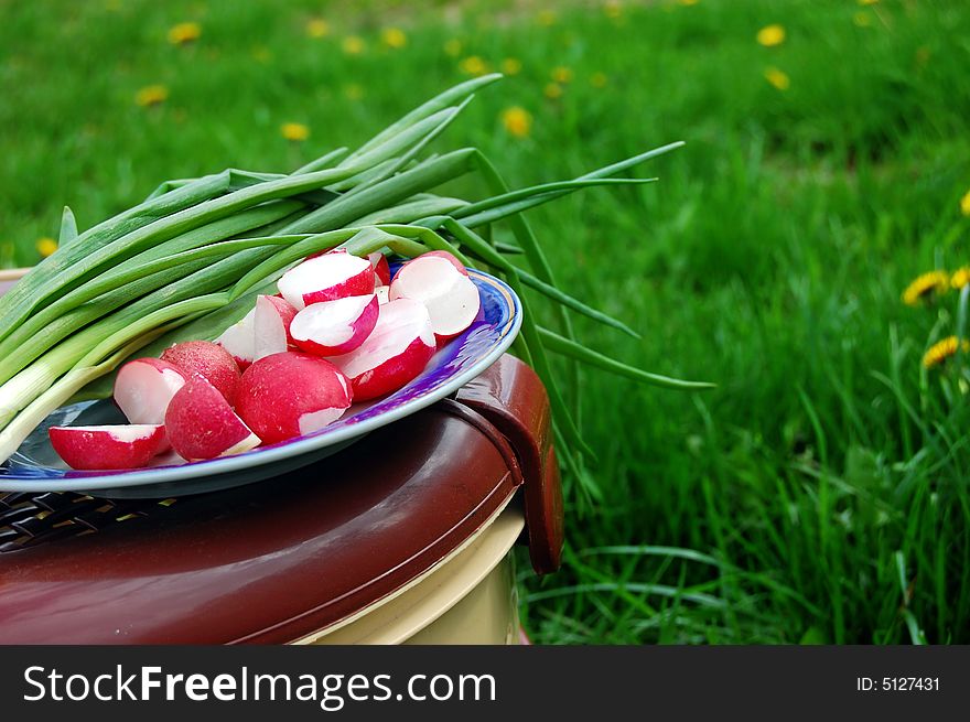 Reddish and green onion, food basket on nature background. Reddish and green onion, food basket on nature background