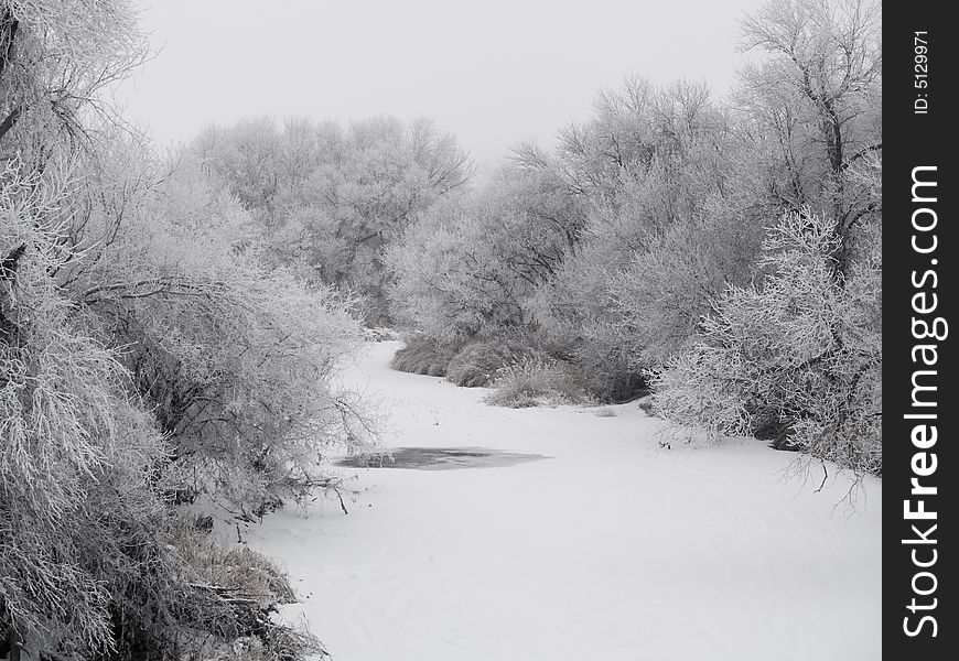 Frosted creek bank on a foggy December morning in South Dakota.