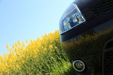 Car And A Rape Field. Royalty Free Stock Photo
