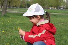 Little Girl Tear Flower Dandelion Stock Images Little Girl Tear Flower Dandelion Stock Images