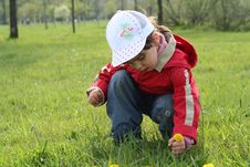 Little Girl Tear Flower Dandelion Stock Image Little Girl Tear Flower Dandelion Stock Image
