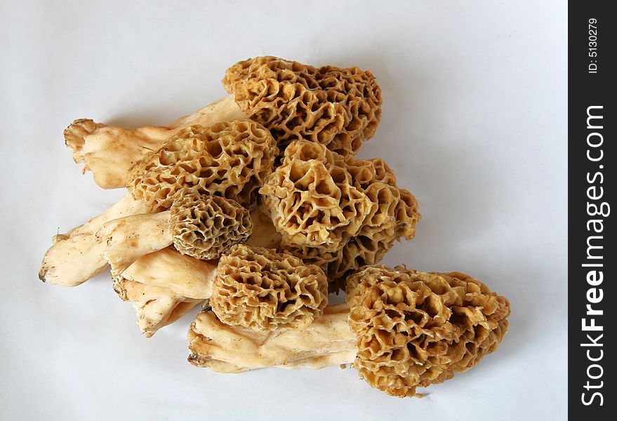 A pile of the valuable morel mushrooms. A pile of the valuable morel mushrooms