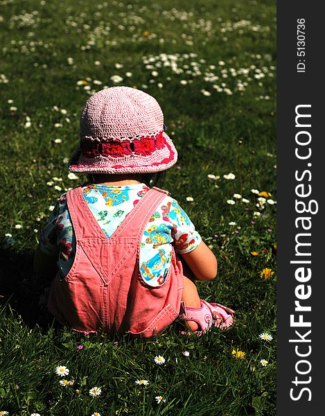 Little girl playing with flowers sitting on the grass. Little girl playing with flowers sitting on the grass