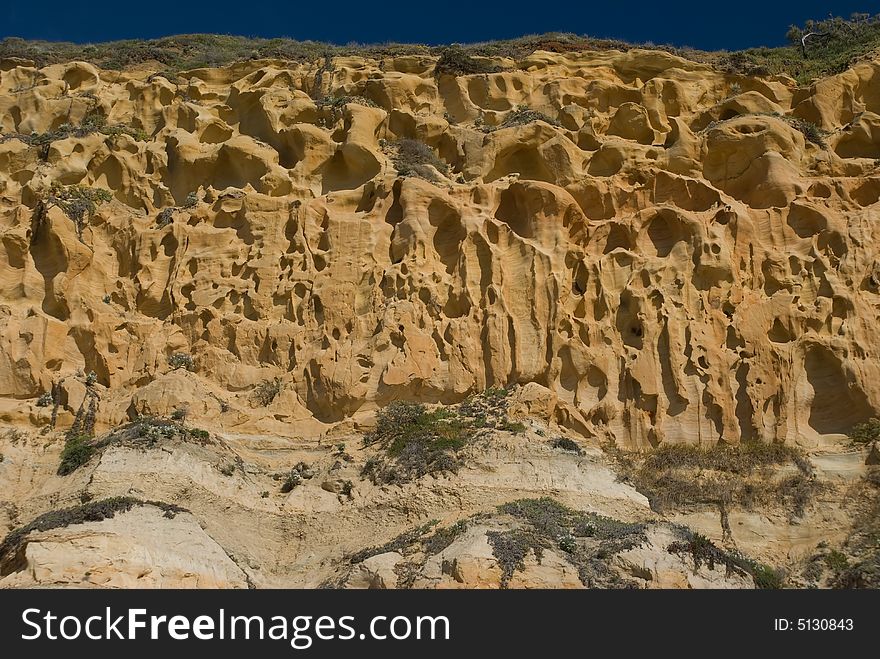 Sandstone Cliff face at Torry Pines California showing unique erosion pattern.