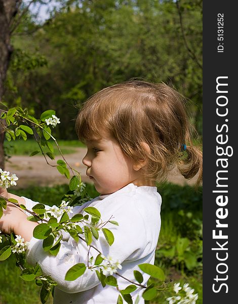 Young girl collect flowers from tree