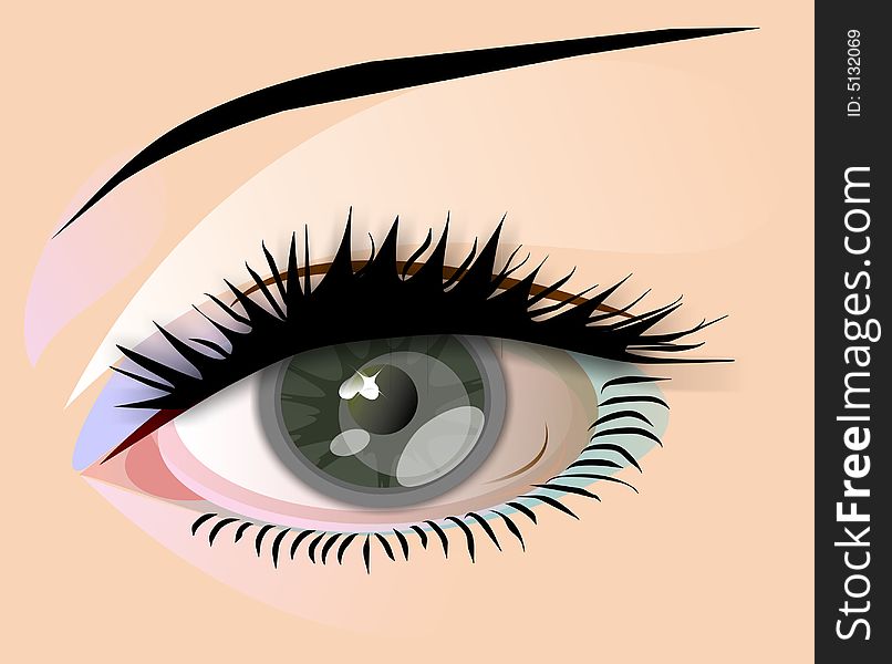 womans gray eye in vector