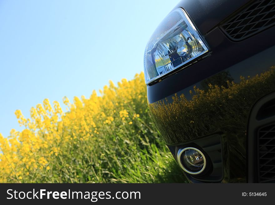 Black sports car and a rape field.