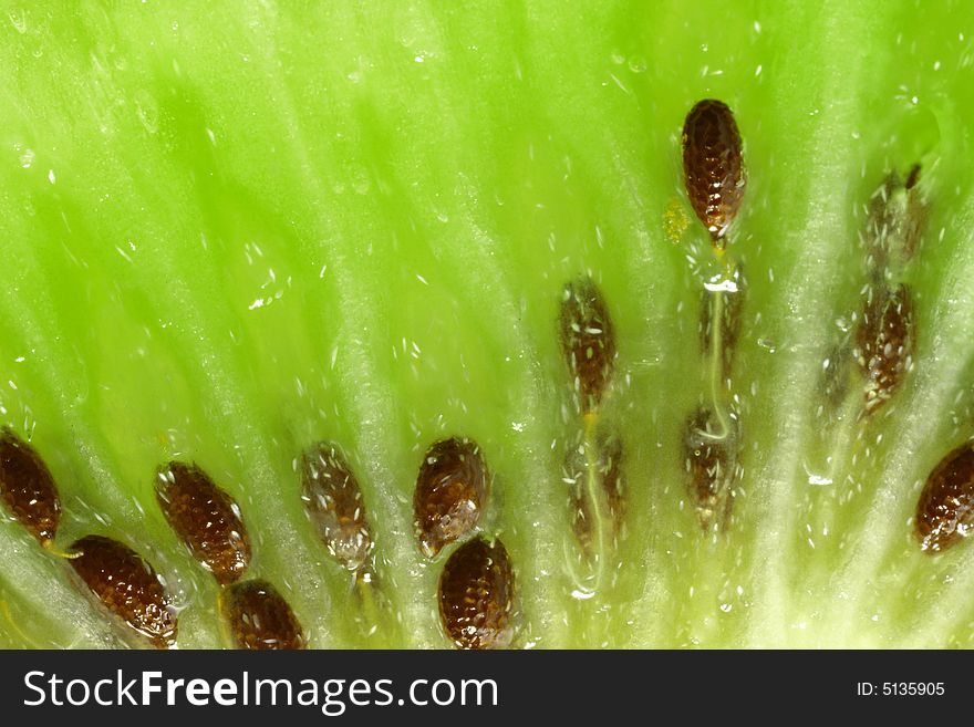 Amazing close-up of kiwi slice (5x)