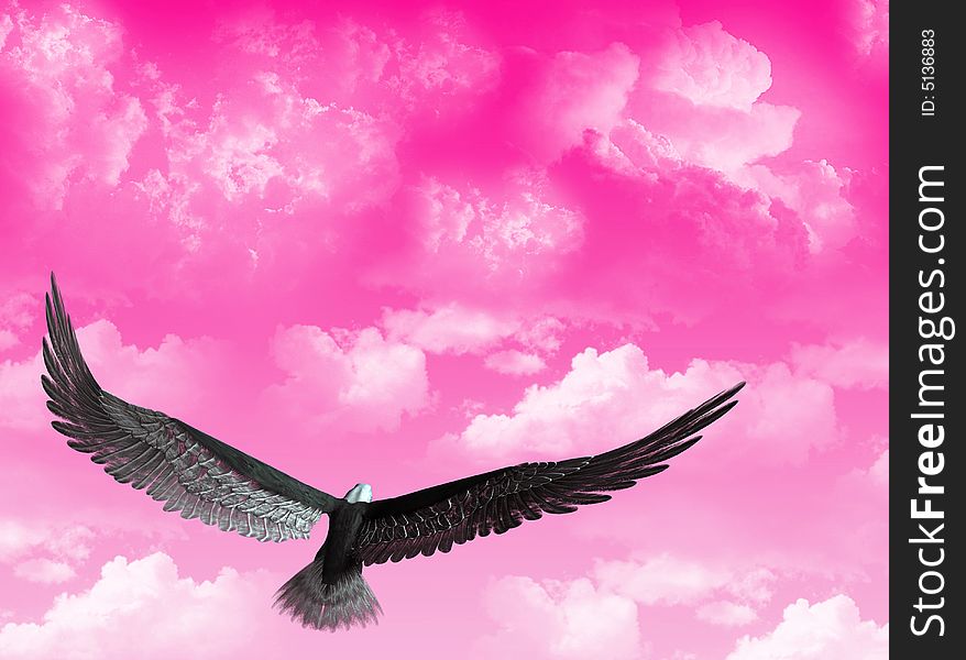 An eagle flight against a sky with white clouds. An eagle flight against a sky with white clouds