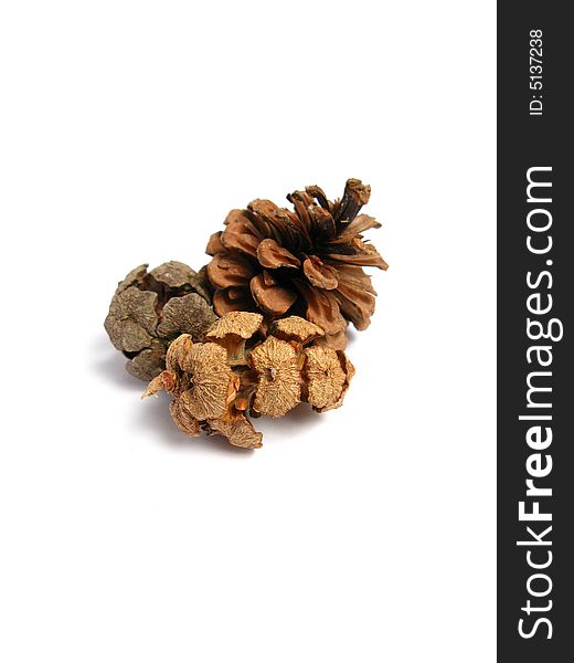 Three Pine Cones