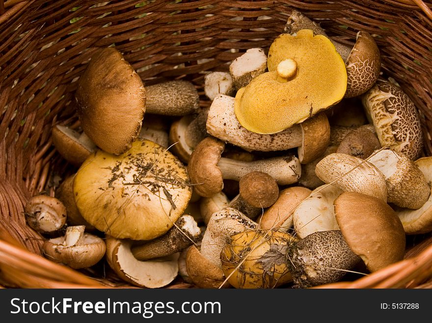 Mushrooms are in a basket
