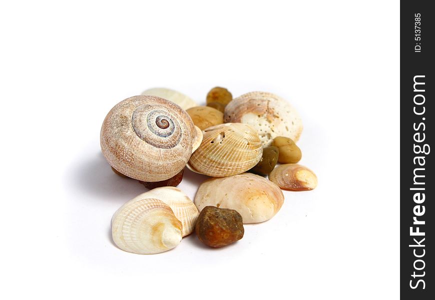 Stones and shells on a white background