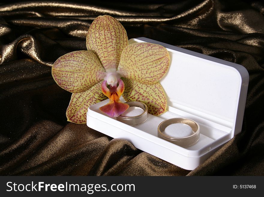 Wedding Rings And Orchid