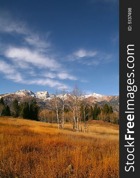 High Mountain Flat in the fall showing all the fall colors with mountains in the background. High Mountain Flat in the fall showing all the fall colors with mountains in the background