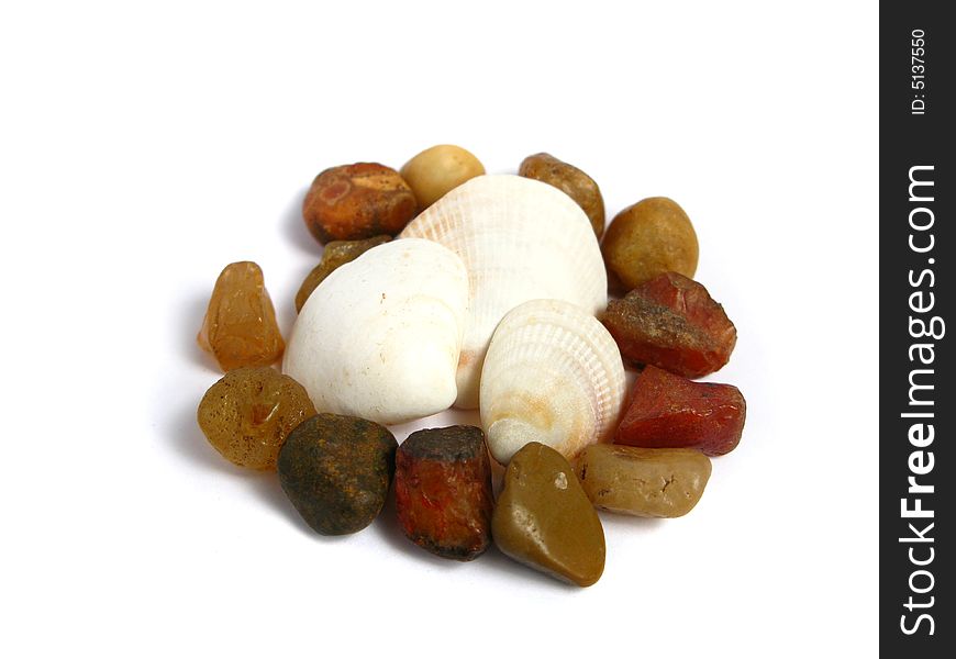 Stones and shells on a white background