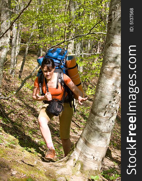 Hiker girl with backpack follow the path in spring forest. Hiker girl with backpack follow the path in spring forest