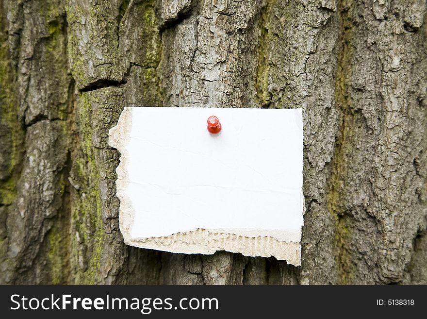 Cardboard Note On The Tree. Ready for your message.