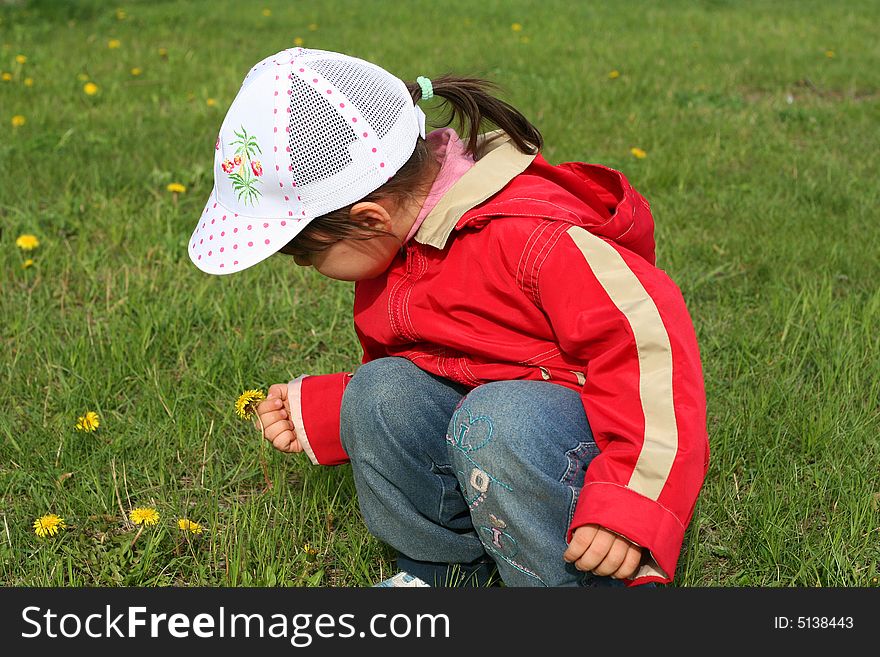 Little girl in red coat tear flower dandelion. Little girl in red coat tear flower dandelion