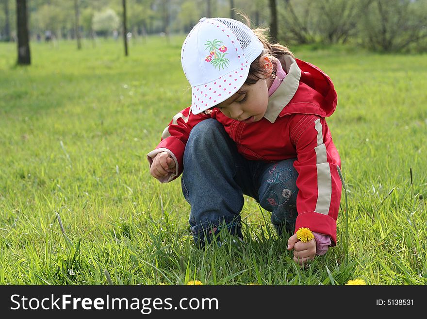 Little Girl Tear Flower Dandelion