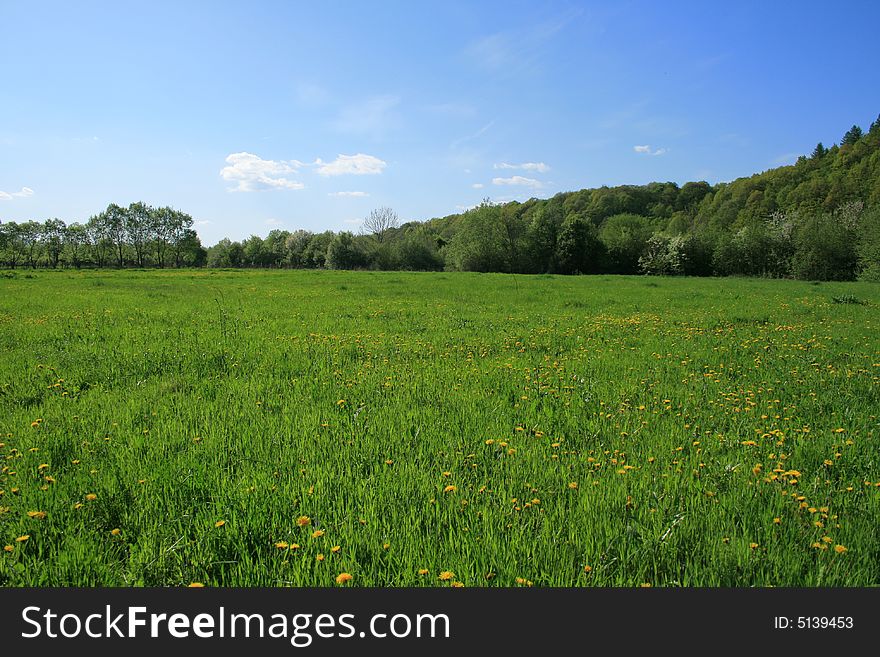 Spring fields near Carpathian mountains, Ukraine. Spring fields near Carpathian mountains, Ukraine