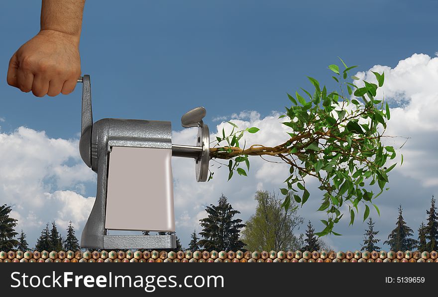 Processing of trees on pencils on a background of a wood and the blue sky with clouds