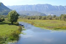Skadar Lake. Royalty Free Stock Image Skadar Lake. Royalty Free Stock Image