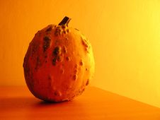 Gourd 2 Stock Images
