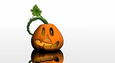 Pumkin Jack-o-lantern Royalty Free Stock Images Pumkin Jack-o-lantern Royalty Free Stock Images