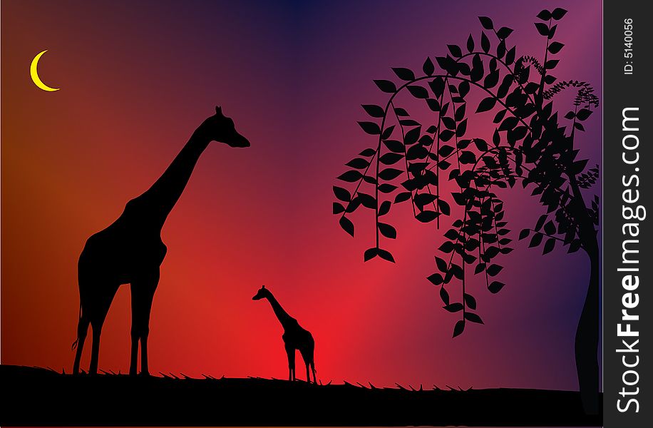Giraffe front of beautiful sky