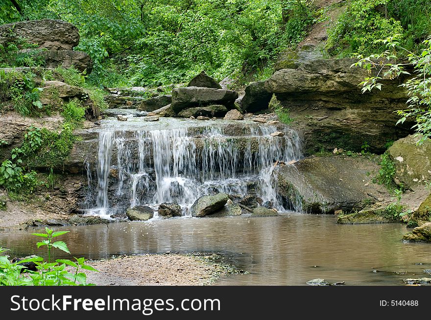 Small spring raids in the forest, motion blur. Small spring raids in the forest, motion blur