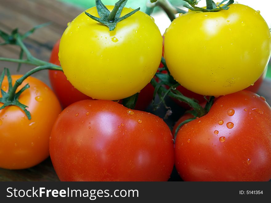 Red, Orange And Yellow Heirloom Tomatoes