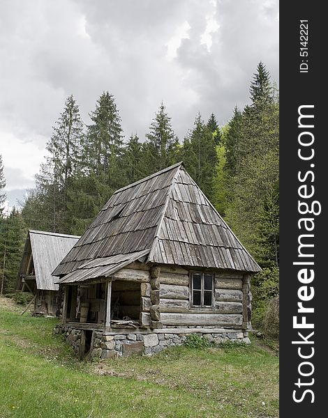 Old log cabin in forest