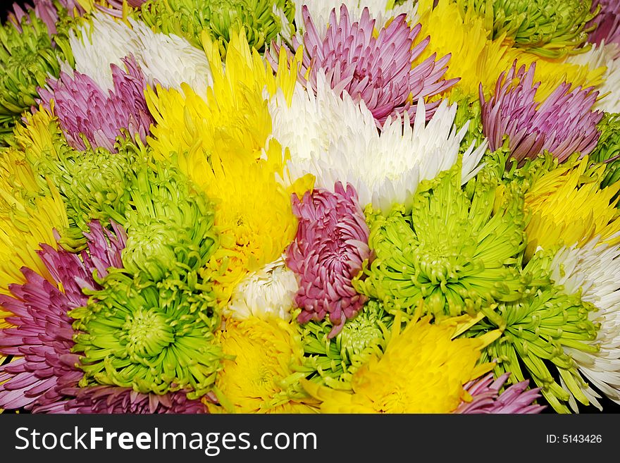 Bouquet of many-colored flowers