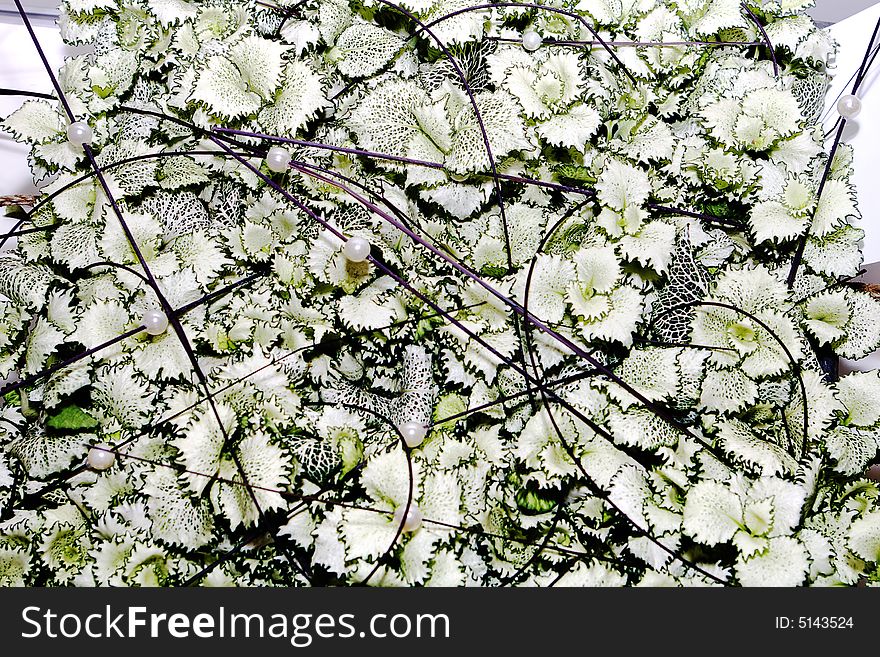 A creative white spring background. A creative white spring background