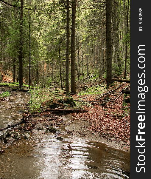 Spring valley in Piatra Craiului mountains, in Carpathians. Spring valley in Piatra Craiului mountains, in Carpathians.