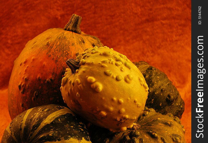 Gourds, which gave me my friend