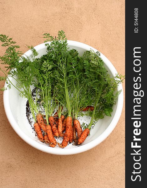 Fresh carrots 2