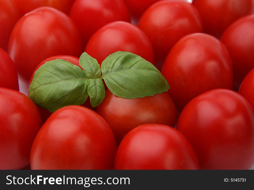 Ripe red tomatoes with basil leafs. Ripe red tomatoes with basil leafs