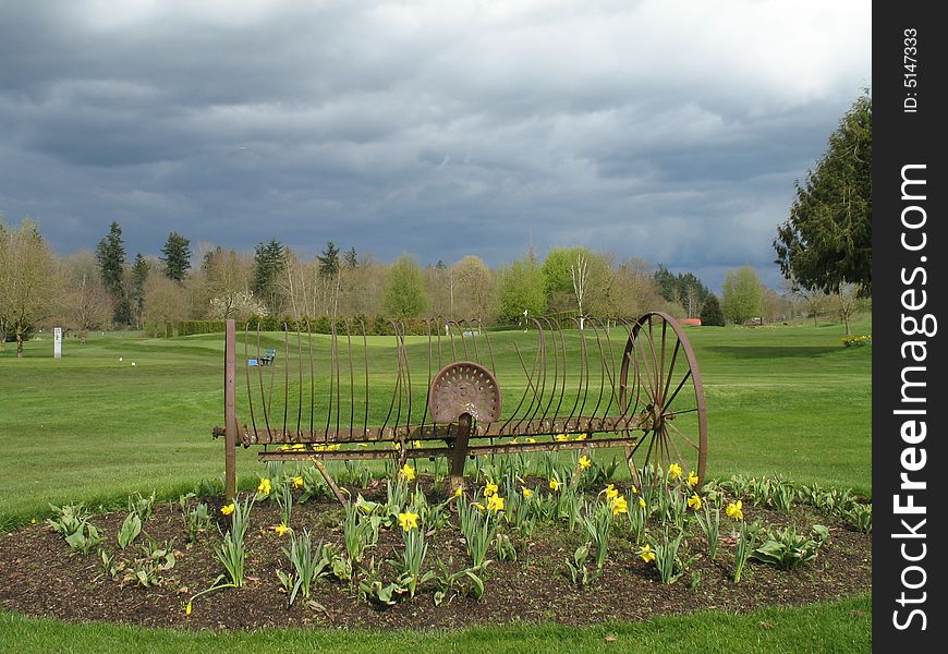 Antique hay rake on a golf course with a flower bed around it.