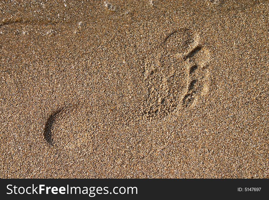 Barefoot print on the sand at sea coast. Barefoot print on the sand at sea coast