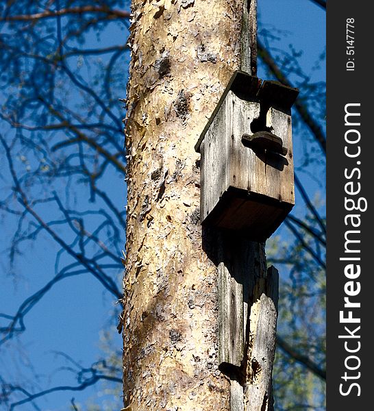 Old birdhouse on a pine-tree