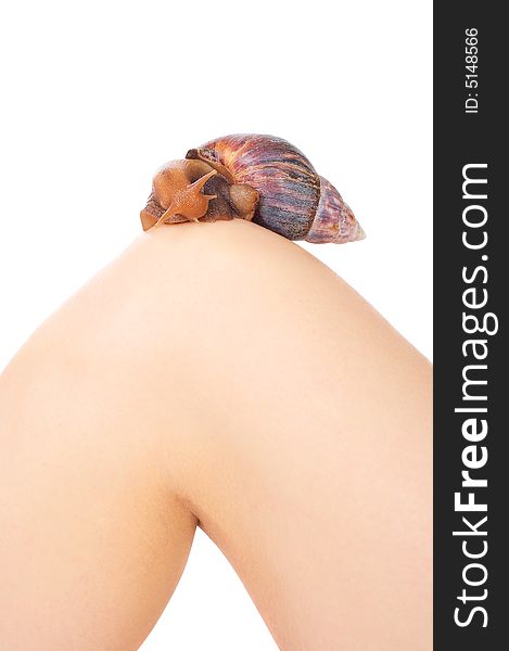 Big snail on girl's leg over white