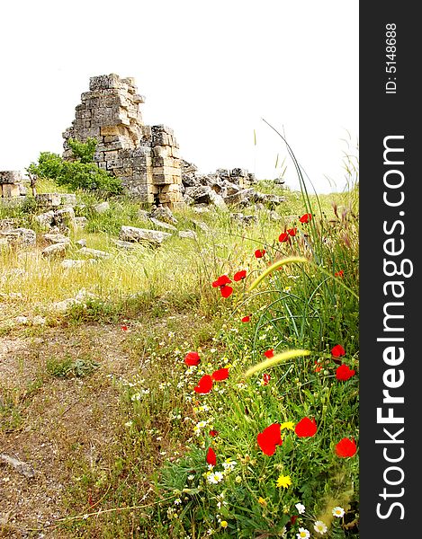 Poppy flowers and ancient remains. Poppy flowers and ancient remains