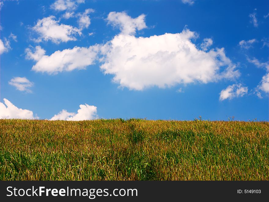 Summertime meadow with blue sky and white clouds