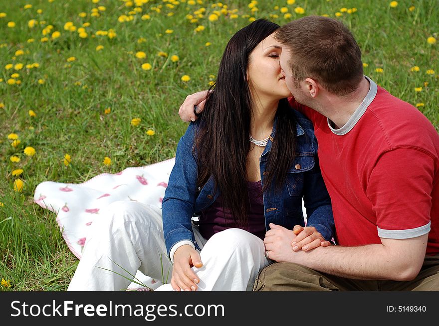 Happy couple on green meadow. Happy couple on green meadow